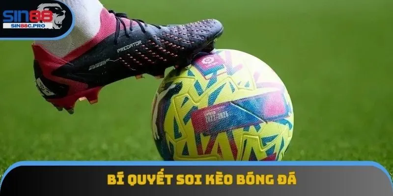 Đừng bao giờ tin tưởng tuyệt đối vào bất kỳ đội nào Đừng bao giờ tin tưởng tuyệt đối vào bất kỳ đội nào
