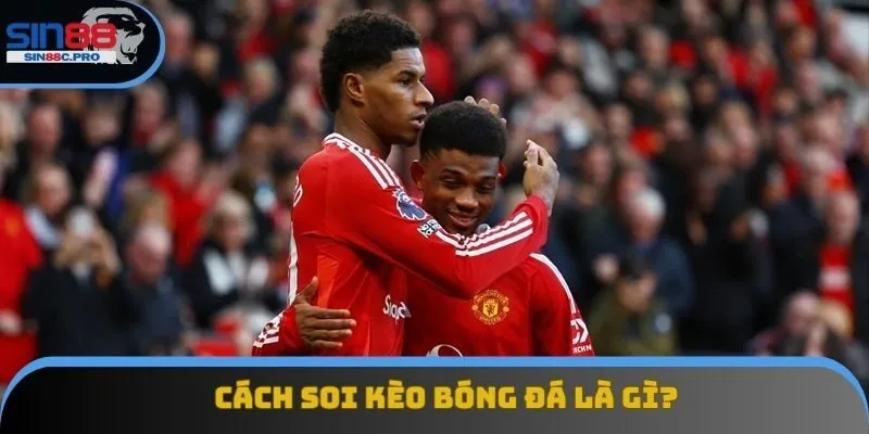 Cách soi kèo bóng đá là thế nào? Khái niệm cực kỳ cơ bản Cách soi kèo bóng đá là thế nào? Khái niệm cực kỳ cơ bản