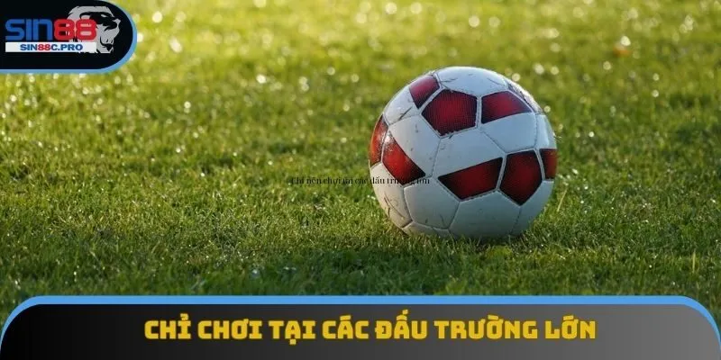 Chỉ nên chơi tại các đấu trường lớn Chỉ nên chơi tại các đấu trường lớn